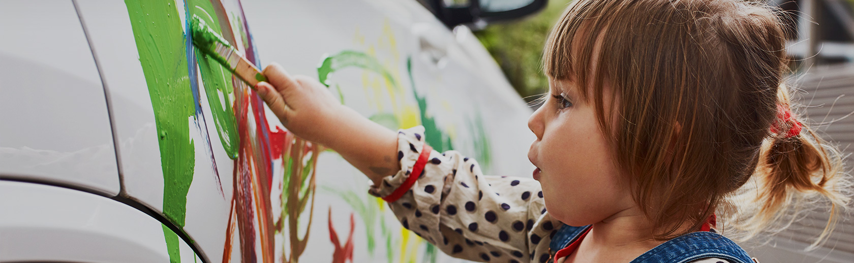 licarski_center_banner